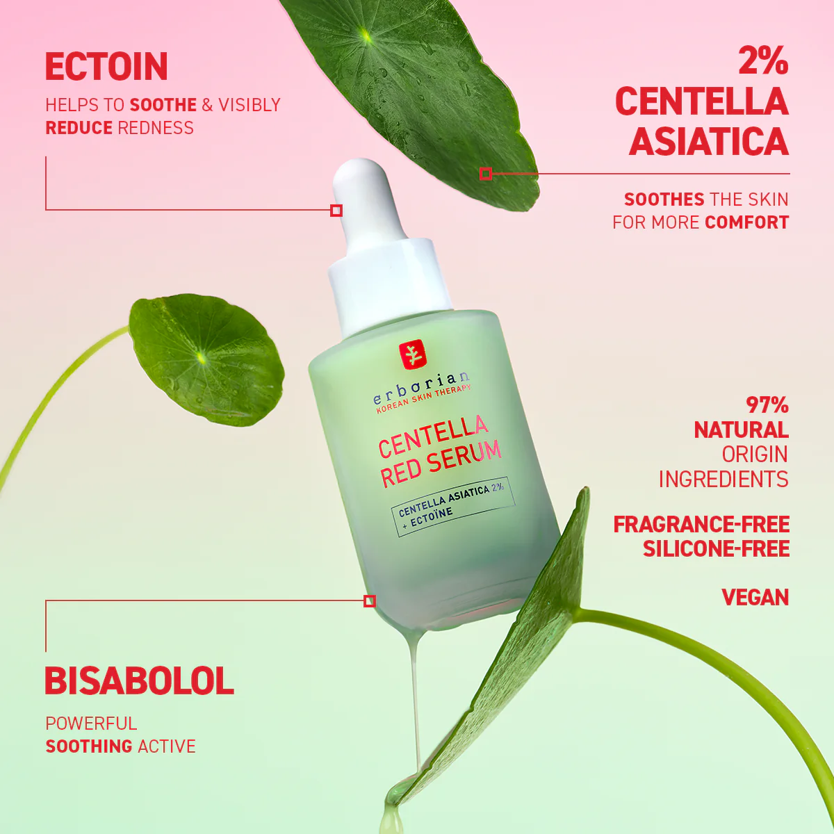 Centella Red Serum (10ml) - Image 3