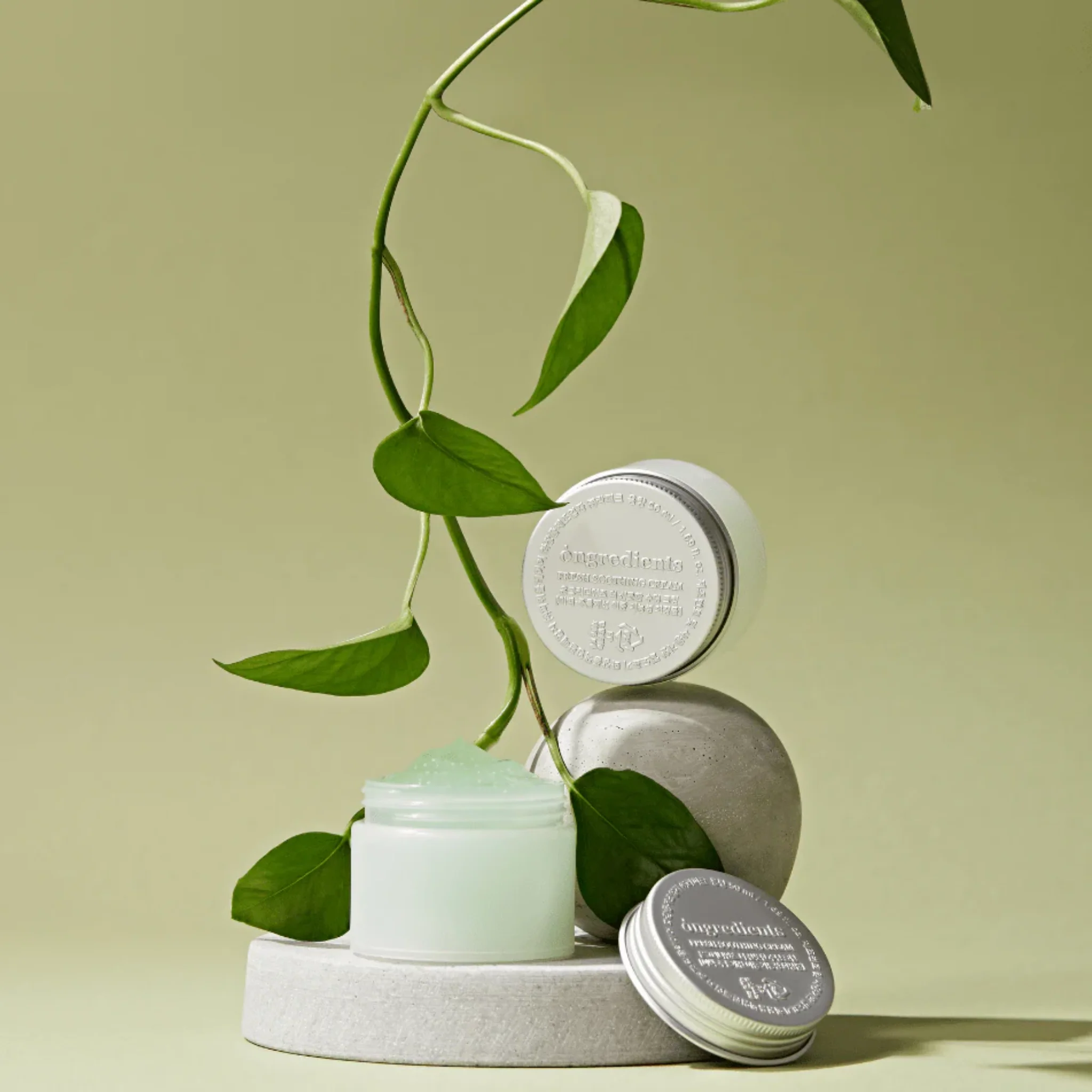 [Special Sale] Fresh Soothing Cream (50ml) - Image 4